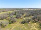 TBD 52 Acres Cr 195 - Photo 17