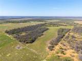 TBD 52 Acres Cr 195 - Photo 20