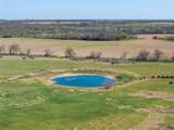 TBD 52 Acres Cr 195 - Photo 24