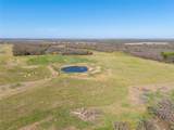 TBD 52 Acres Cr 195 - Photo 25