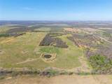 TBD 52 Acres Cr 195 - Photo 29