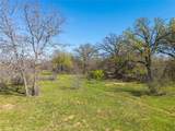 TBD 52 Acres Cr 195 - Photo 33