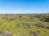 TBD 52 Acres Cr 195 - Photo 34