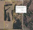 TBD 52 Acres Cr 195 - Photo 38