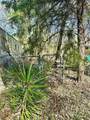 14110 Austin Street - Photo 4