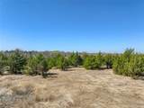 Tract 5 County Road 2935 - Photo 7