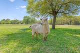 7142 Fm 148 - Photo 35