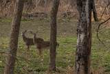 377 County Road 2530 - Photo 7