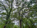 000 N 4220 - Photo 6