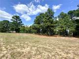 0 Palomino Court - Photo 10