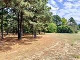 0 Palomino Court - Photo 3