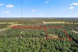 16 Acres Cr 3350 - Photo 11