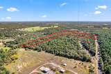 16 Acres Cr 3350 - Photo 12