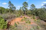 16 Acres Cr 3350 - Photo 21