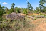 16 Acres Cr 3350 - Photo 4