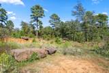 16 Acres Cr 3350 - Photo 9