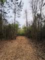 TBD (Tract A) Fm 711 - Photo 3