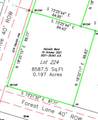 255 Shady Lane - Photo 3