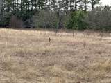 255 Shady Lane - Photo 8