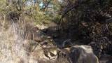 0000 Hwy 16 - Photo 26