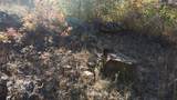 0000 Hwy 16 - Photo 28