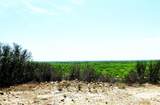TBD Hwy 377 - Photo 13