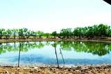 TBD Hwy 377 - Photo 15