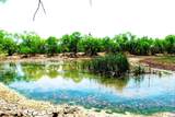 TBD Hwy 377 - Photo 16