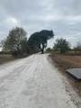 0 Private Road 196 Road - Photo 2