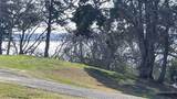 Lot 167 County Road 1633 - Photo 4
