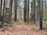 Lot 2B & 2C Fuller Springs Drive - Photo 2