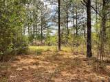 Lot 2B & 2C Fuller Springs Drive - Photo 4