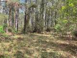 Lot 2B & 2C Fuller Springs Drive - Photo 7