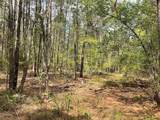 Lot 2B & 2C Fuller Springs Drive - Photo 8