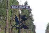 0 Eagle Brook - Photo 1