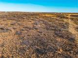 TBD Bobcat Loop - Photo 8