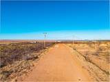TBD Bobcat Loop - Photo 9