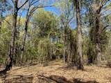 TBD Armadillo Drive - Photo 4