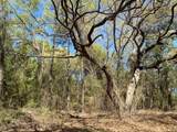 TBD Armadillo Drive - Photo 5