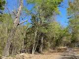 TBD Armadillo Drive - Photo 6