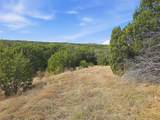 880 County Road 158 - Photo 19