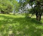 26 Acres Fm 118 - Photo 6
