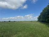 001 Fm 2990 - Photo 6