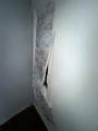 5533 Bong Drive - Photo 7