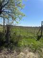 1111 County Road 2805 - Photo 6