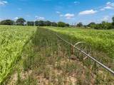 25.495 Acres Hwy 6 West - Photo 13