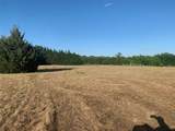 10843 Line Road - Photo 15