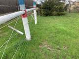 10843 Line Road - Photo 19