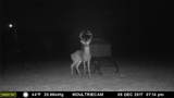 4025 County Road 175 - Photo 8