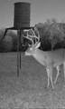 4025 County Road 175 - Photo 9
